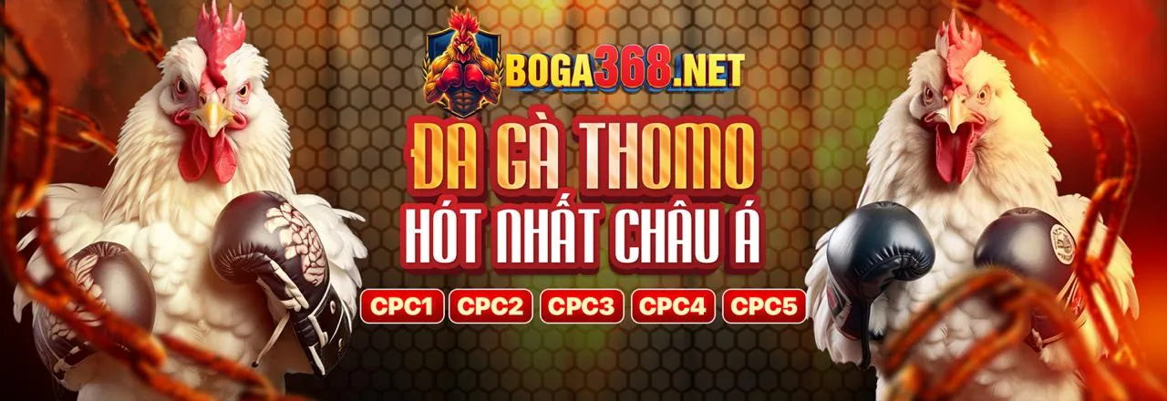 Dịch vụ hỗ trợ khách hàng VIP tận tâm của qq66 nhà cái